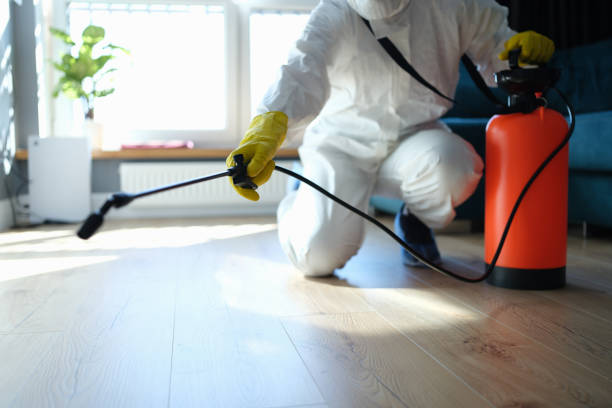 Reliable Odor Removal contractor in Graham, TX by Trauma Clean Pros